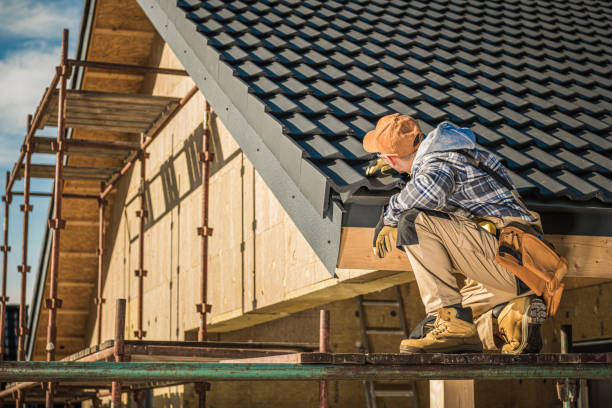 Best Sheet Metal Roofing  in Rushford, MN